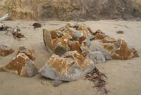 Moeraki Boulders (2)