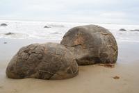Moeraki Boulders (3)