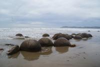 Moeraki Boulders (5)