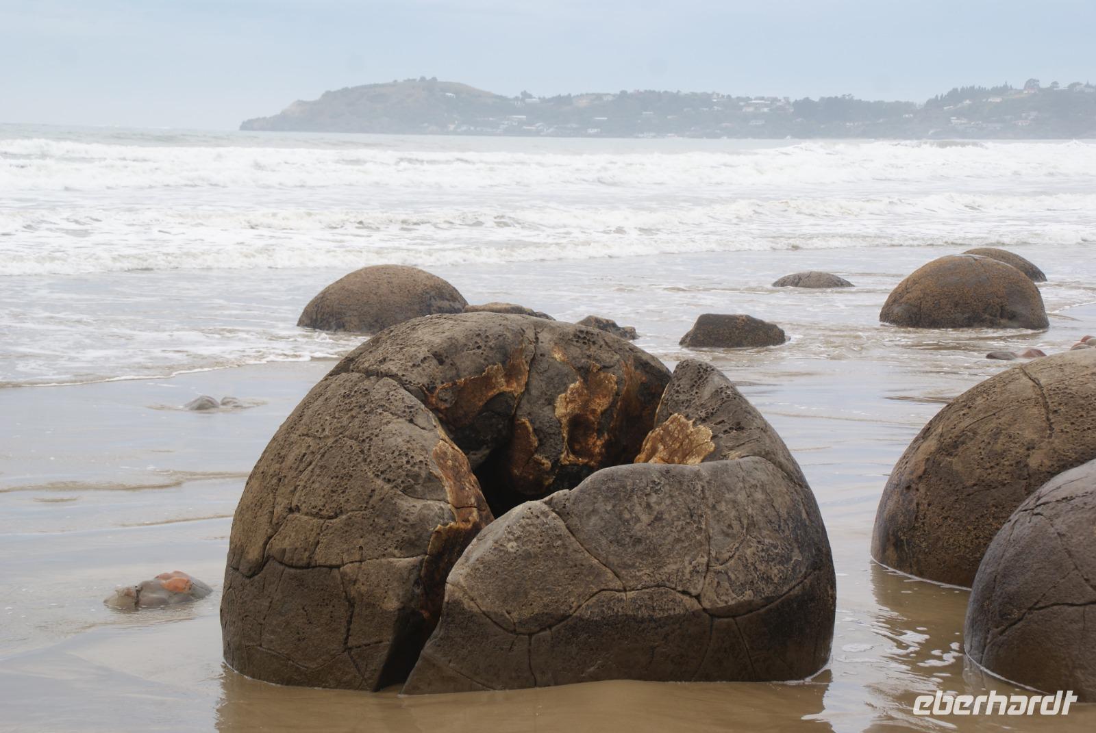 Moeraki Boulders (6)