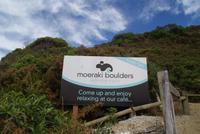 Moeraki Boulders (10)