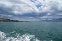 Bootsfahrt zu den Albatrossen