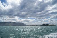 Bootsfahrt zu den Albatrossen.