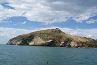 Bootsfahrt zu den Albatrossen. (3)