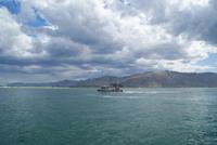 Bootsfahrt zu den Albatrossen. (4)