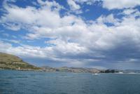 Bootsfahrt zu den Albatrossen. (6)