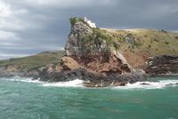 Brutstätte der Albatrosse