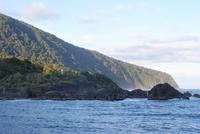 Fjordfahrt am frühen Morgen