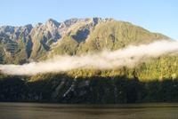 Milford Sound (5)