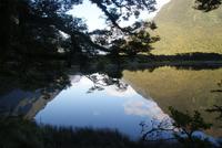 Morgenimpressionen am Milford Sound