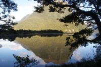 Morgenimpressionen am Milford Sound (3)