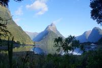 Morgenimpressionen am Milford Sound (4)