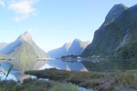 Morgenimpressionen am Milford Sound (5)