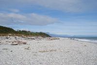 Tauparikaka Marine Reserve (4)