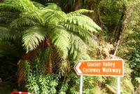 Glacier Valley Walkway
