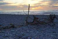 Strand von Greymouth