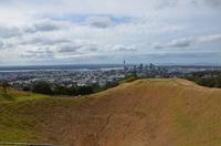 Blick auf Auckland vom Mount Eden