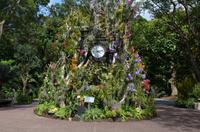 Singapor - Orchideengarten 7