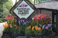 Singapor - Orchideengarten 8