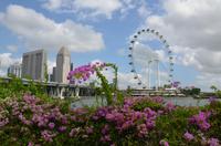 Singapore Flyer