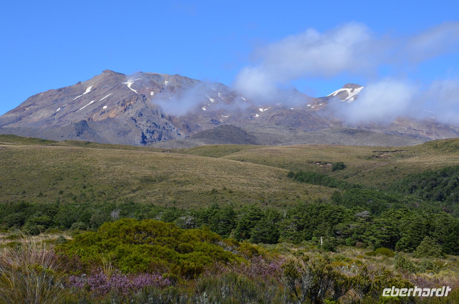 Mount Rotorua im Sonnenschein