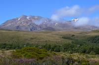 Mount Rotorua im Sonnenschein