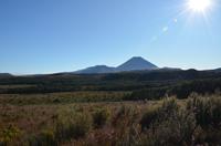 Panorama mit Mount Ngauhuroe
