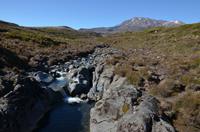 Panorama mit Mount Rotorua