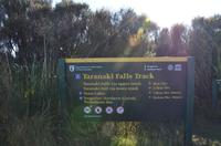 Taranaki Falls Track