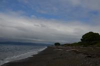 Strand von Kapiti Island