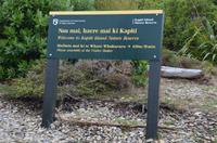 Willkommen auf Kapiti Island