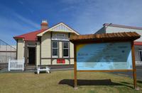 Die Küste der Kauri-Bäume