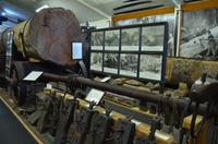 Kauri Museum 2