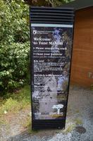 Tane Mahuta - der größte Baumriese der Kauris