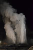 Te Puia - Pohutu-Geysir