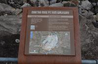 Waihi – Besichtigung der Martha Mine