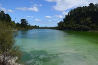 Wai-O-Tapu Thermal Wonderland - Lake Ngakoro