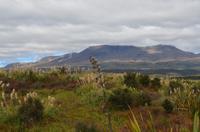 Blick auf den Vulkan Tongariro