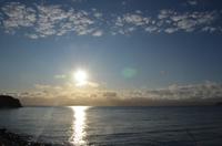 ein sonniger Morgen in Wellington