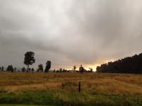 die magische Natur Neuseelands