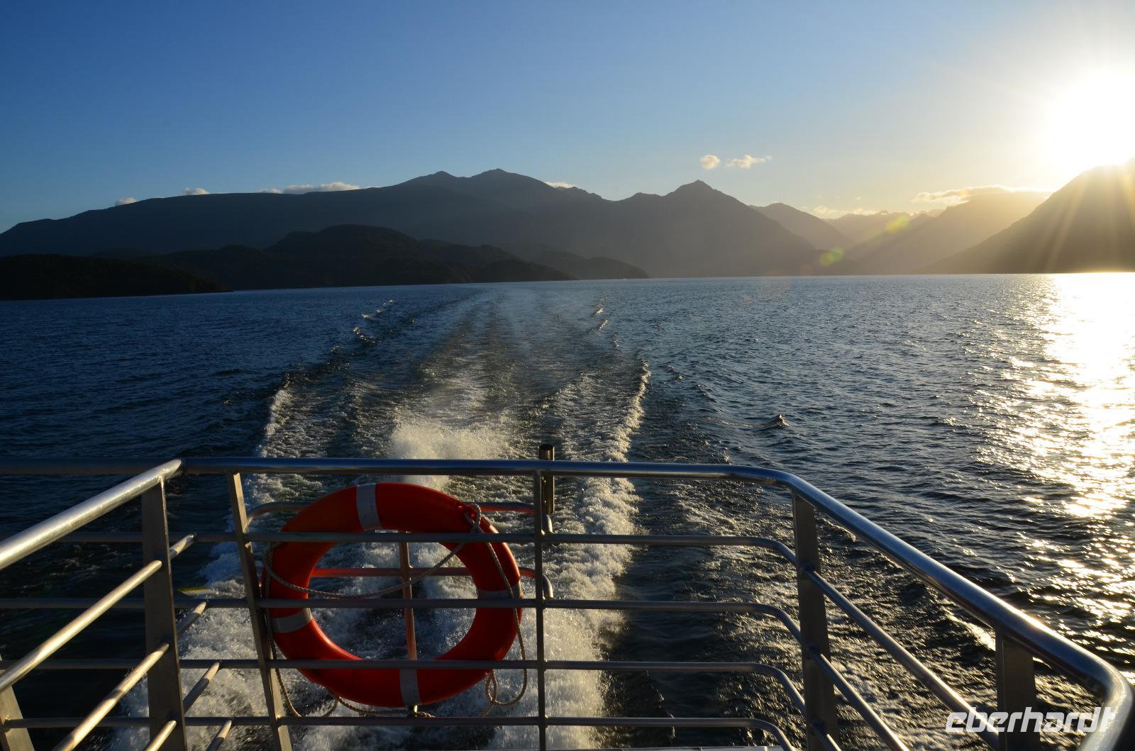 Bootsfahrt zur Glühwürmchen Höhle