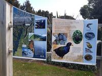 Fiordland Nationalpark