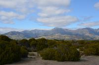 Wilderness Scenic Reserve