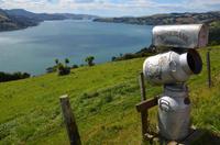 Blick auf den Otago Harbour