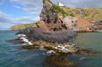 Leuchtturm mit Albatros Kolonie