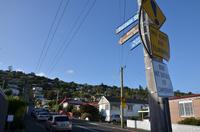 Baldwin Street - die steilste Straße der Welt