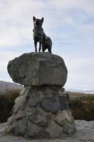 Denkmal zu Ehren des Collies