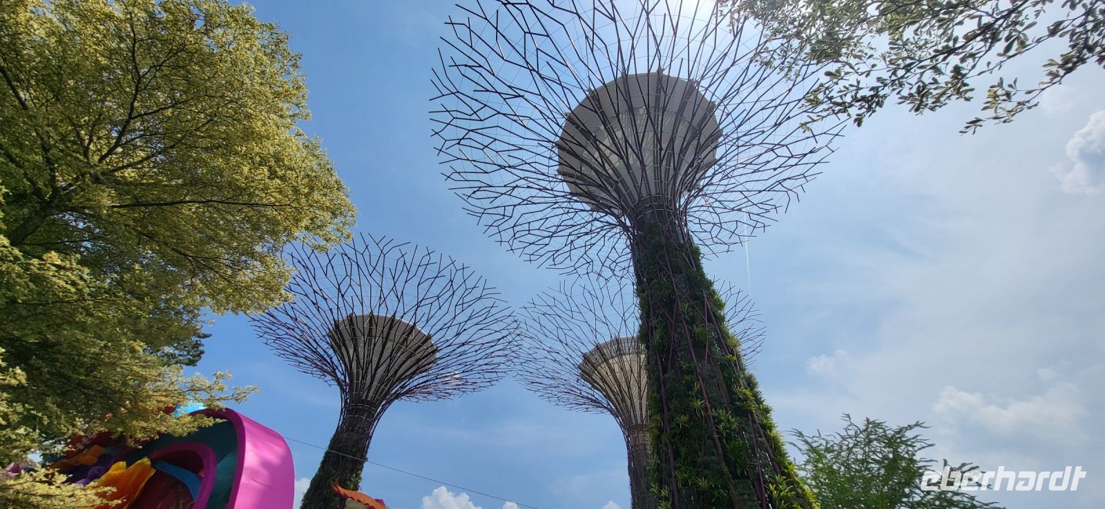 19 Super trees