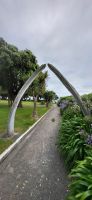 193 Walknochen in Kaikoura