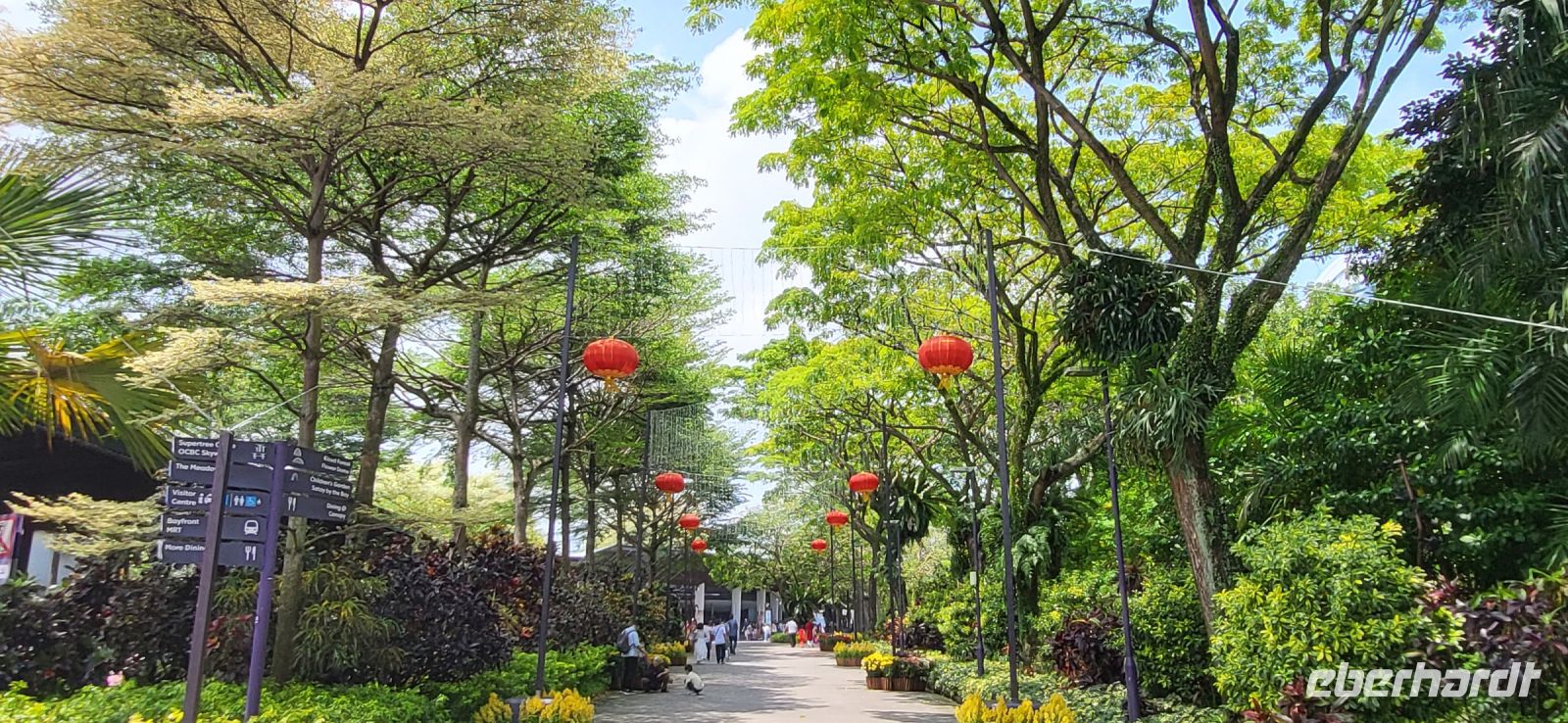 20 Super tree Park